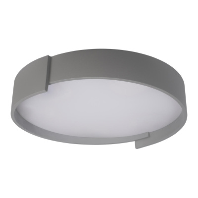 10200 Grey Потолочный светильник LOFT IT Coin