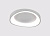 Потолочный светильник Arte Lamp SUALOCIN A2698PL-60WH