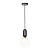 9973-A Подвесной светильник LOFT IT Parachilna