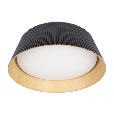 10224 Black Потолочный светильник LOFT IT Evans