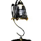 1031/1 Лампа настольная E14x1 ELVAN от интернет магазина Elvan.ru