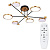 Потолочная люстра Arte Lamp HOLLY A1364PL-6PB