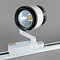 02-30W-4000K-Wh Светильник светодиодный трековый белый от интернет магазина Elvan.ru