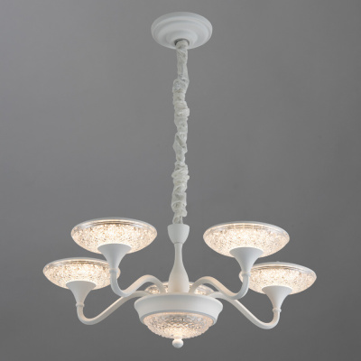 Подвесная люстра Arte Lamp BERN