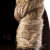 Бра Arte Lamp CORDA