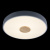 10003/24 Grey Потолочный светильник LOFT IT Axel