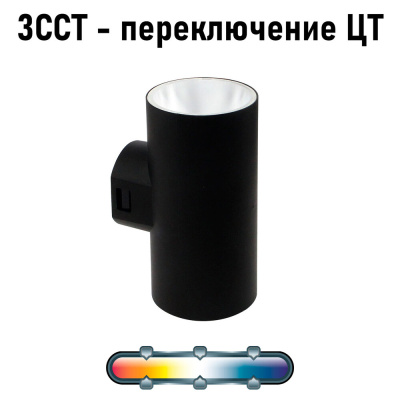 Фасадный светильник Arte Lamp ALCYONE
