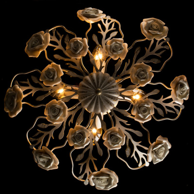 Потолочная люстра Arte Lamp ROSITA