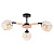 Потолочная люстра Arte Lamp BRANSON