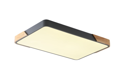 Светильник ZORTES ALBERRO ZRS.01277.60, Мощность - 60Вт, Тип лампы: LED, В - 50мм / Д - 420мм / Ш - 650мм