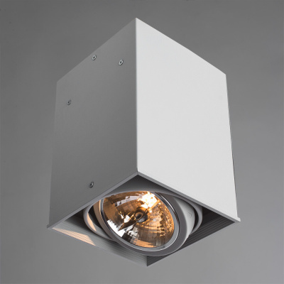 Точечный накладной светильник Arte Lamp CARDANI GRANDE