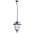Уличный подвесной светильник Arte Lamp PARIS