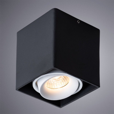 Точечный накладной светильник Arte Lamp PICTOR