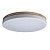 10001/36 White Потолочный светильник LOFT IT Axel