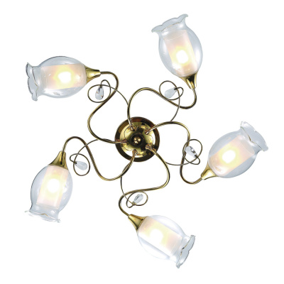 Потолочная люстра Arte Lamp MUGHETTO