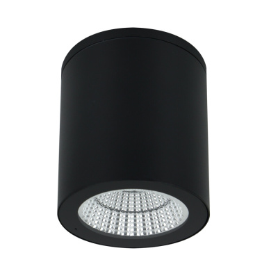Уличный потолочный светильник Arte Lamp TORCULAR