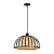 Подвесной светильник Arte Lamp WOODSTOCK A7071SP-1BK