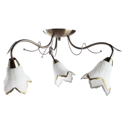 Люстра Arte Lamp BARBARA