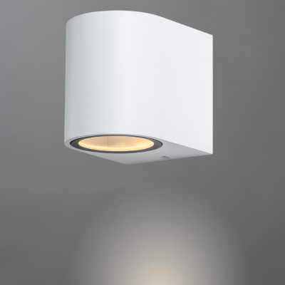 Фасадный светильник Arte Lamp COMPASS
