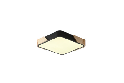 Светильник ZORTES ALBERRO ZRS.01281.60, Мощность - 60Вт, Тип лампы: LED, В - 50мм / Д - 600мм / Ш - 600мм