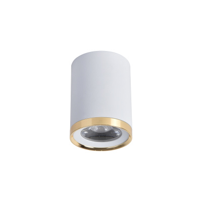 3085-1C, потолочный светильник, D68xH91, LEDx6W, 500LM, 4000K, IP20, included