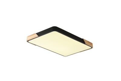 Светильник ZORTES ALBERRO ZRS.01244.60, Мощность - 60Вт, Тип лампы: LED, В - 50мм / Д - 420мм / Ш - 650мм