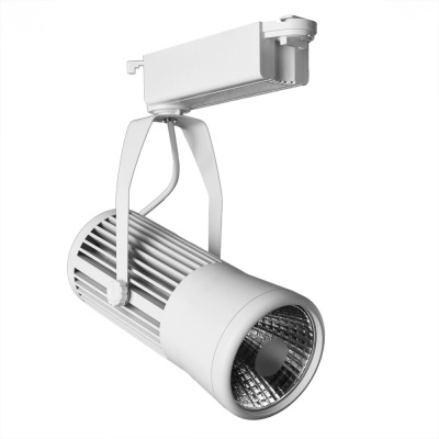 Трековый светильник Arte Lamp RICORDO