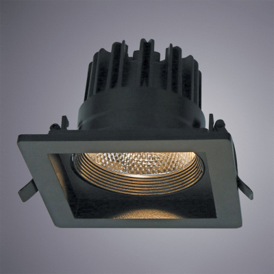 Карданный светильник Arte Lamp PRIVATO