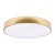 10228/A Потолочный светильник LOFT IT Flims