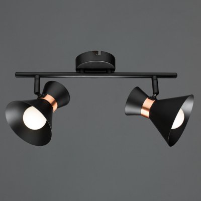 Спот Arte Lamp BALTIMORE