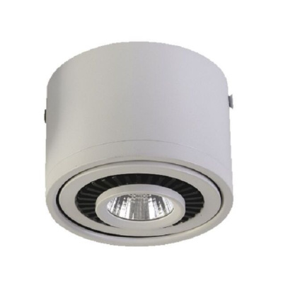 1776-1C, потолочный светильник, D112xH85, 1xLEDx12W, AC:100-240V, 960LM, RA>80, IP21, 960LM, 4000K, included