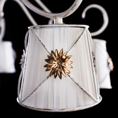 Потолочная люстра Arte Lamp FORTUNA