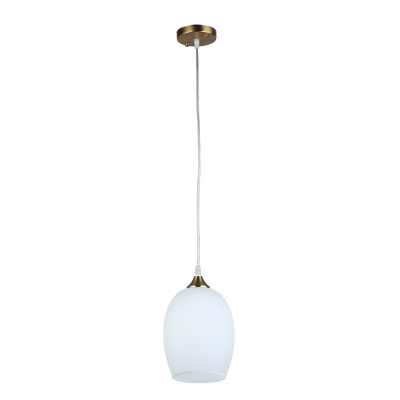 Подвесной светильник Arte Lamp PROPUS