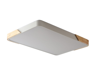Светильник ZORTES ALBERRO ZRS.01233.60, Мощность - 60Вт, Тип лампы: LED, В - 50мм / Д - 420мм / Ш - 650мм