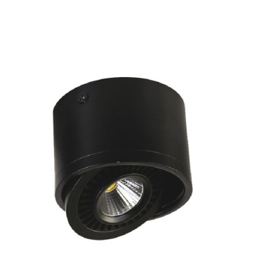 1779-1C, потолочный светильник, D112xH85, 1xLEDx12W, AC:100-240V, 960LM, RA>80, IP21, 960LM, 4000K, included