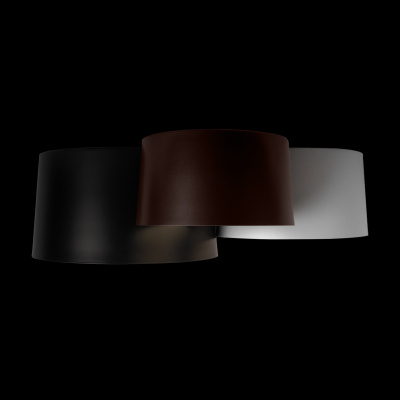 10360/3 Потолочный светильник LOFT IT Duo