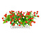 203-06-Red+WH (Тюльпан) от интернет магазина Elvan.ru