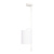 10253P White Подвесной светильник LOFT IT Ritz