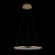 10014M Подвесной светильник LOFT IT Ring