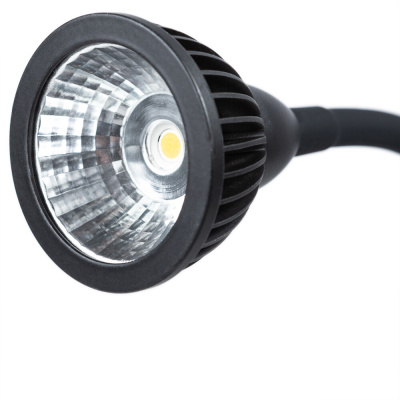Бра Arte Lamp CERCARE