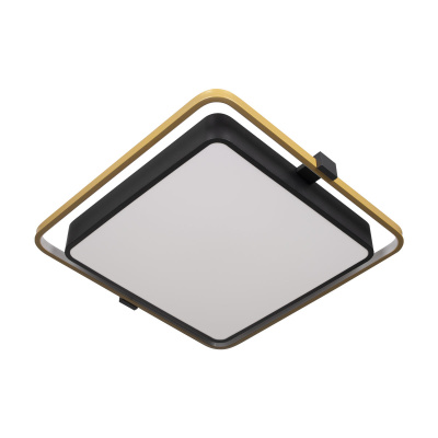 10172 Потолочный светильник LOFT IT Mike