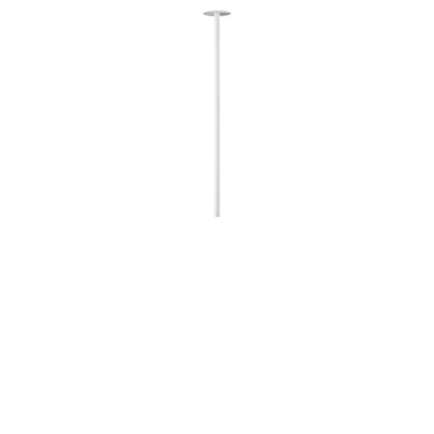 10359/600 White Потолочный светильник LOFT IT Cane