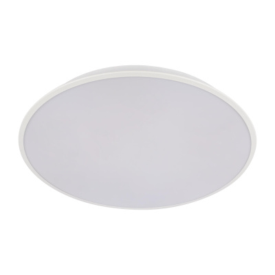 10226 White Потолочный светильник LOFT IT Brim