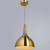 Подвесной светильник Arte Lamp HELMET