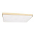 10228/E Потолочный светильник LOFT IT Flims