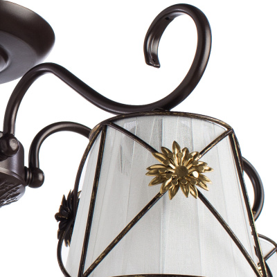 Потолочная люстра Arte Lamp FORTUNA