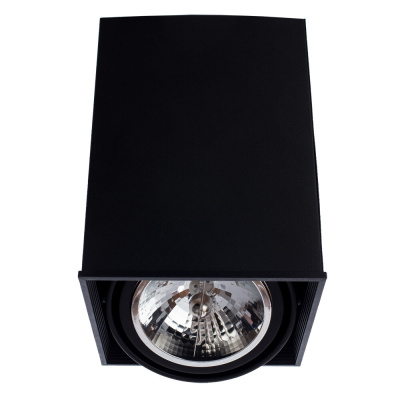 Точечный накладной светильник Arte Lamp CARDANI GRANDE