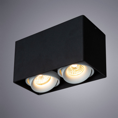 Точечный накладной светильник Arte Lamp PICTOR