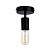 Потолочный светильник Arte Lamp FUORI A9184PL-1BK