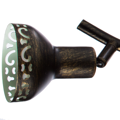 Спот Arte Lamp FOCUS